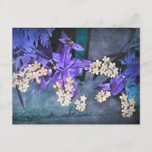 Dreamy Glöm mig Nots (Myosotis) Vykort