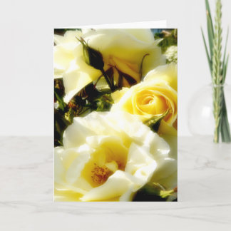 Dreamy Gul ros AH2010 Kort