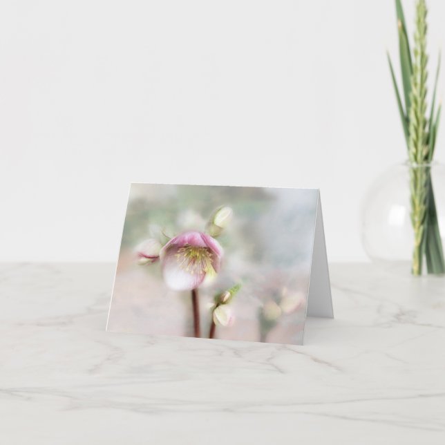 Dreamy Helleborus Flower Anteckningskort (Framsida)