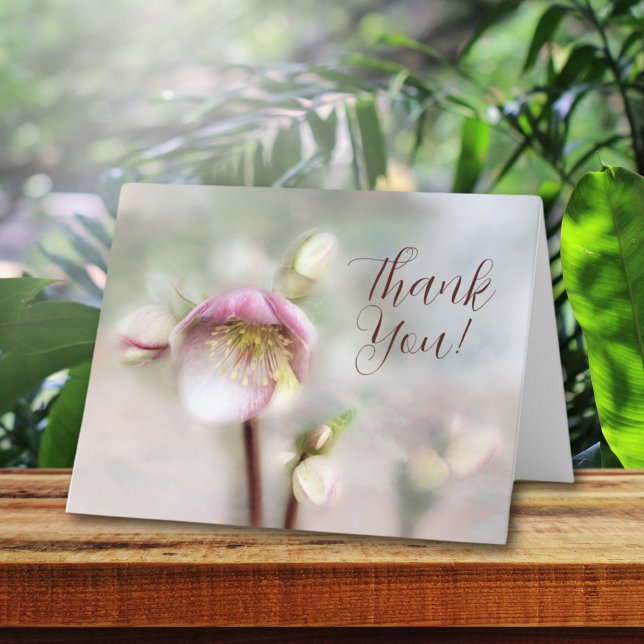 Dreamy Helleborus Flower Tack-kort Tack Kort (Skapare uppladdad)