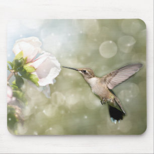 Dreamy Hummingbird under flygning Musmatta