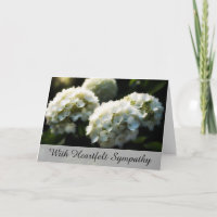 *~* Dreamy Hydrangia TV2 Sympathy Kärlek Light