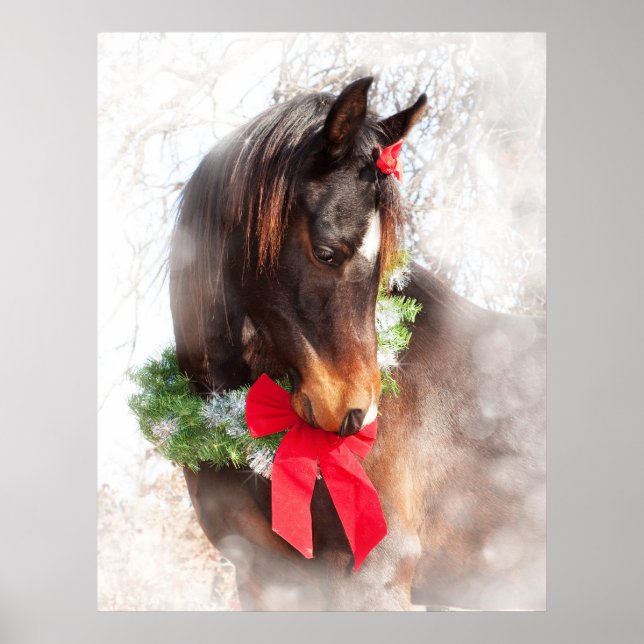 Dreamy jul Horse Poster (Framsidan)