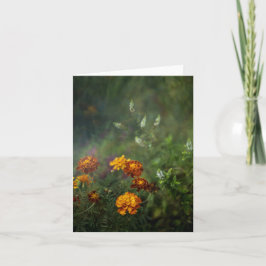 Dreamy marigold fine art photo kort