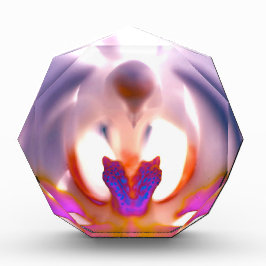 Dreamy Orchid Skriv ut fotoblock