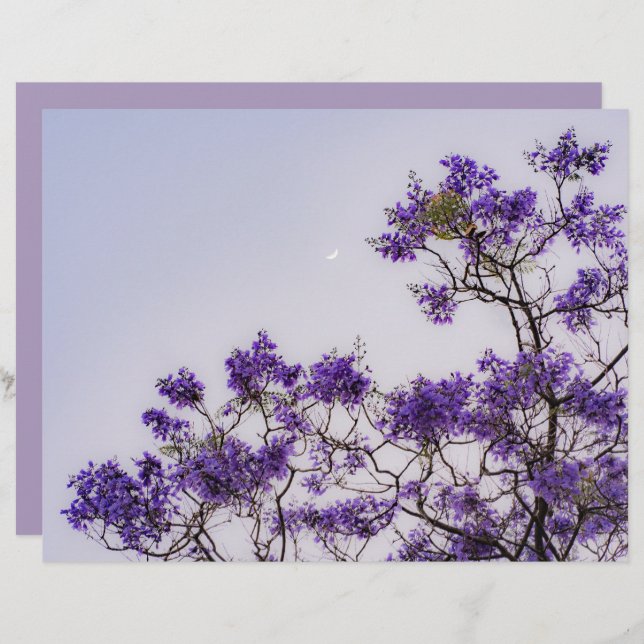 Dreamy pastel spring tree Scrapbook Paper (Fram/baksida)