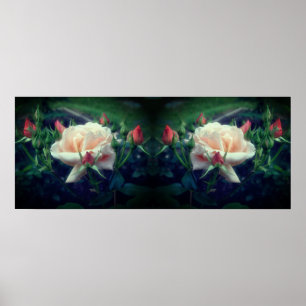 Dreamy Peach Ro och Buds Spegel Abstrakt Poster