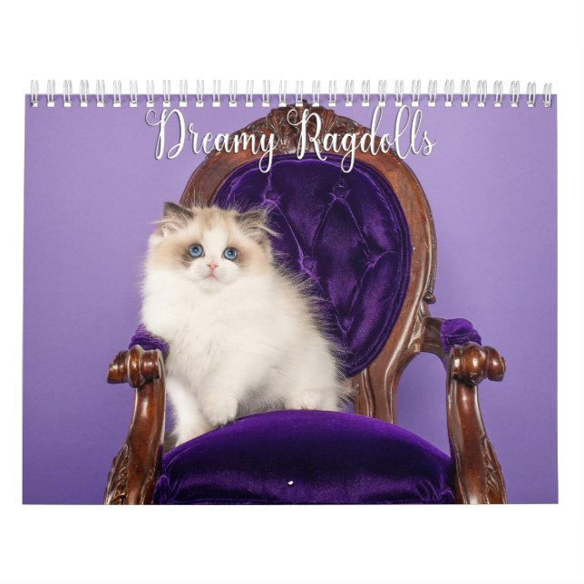 Dreamy Ragdoll Cats and Kittens Calendar Kalender (Omslag)