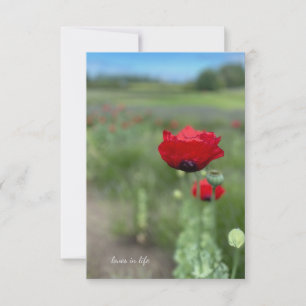 Dreamy Red Poppy Anteckningskort