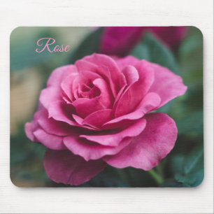Dreamy Rosa ros Musmatta
