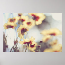Dreamy Soft Gult Helenium Flowers Poster