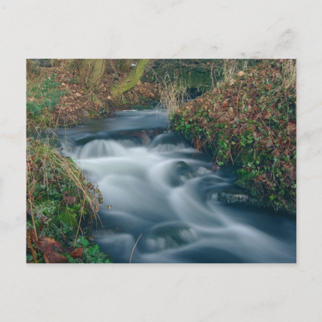 Dreamy stream-vykort vykort (Framsida)