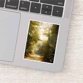 Dreamy sunlit park, nature aesthetic art photo klistermärken