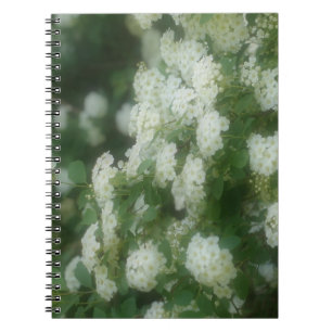 Dreamy Vild Vit ros Flower Nature Notebook Anteckningsbok