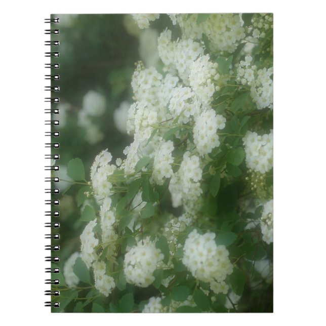 Dreamy Vild Vit ros Flower Nature Notebook Anteckningsbok (Framsidan)