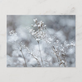 Dreamy winter nature, New Year Helg Vykort