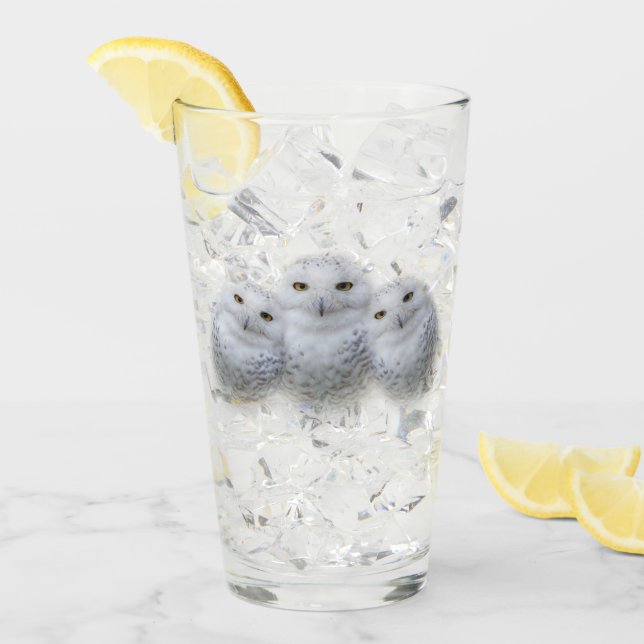 Dreamy Wisdom of Snowy Uggla Family Glaskopp (Framsida Ice)