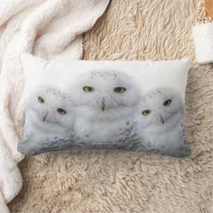 Dreamy Wisdom of Snowy Uggla Family Lumbarkudde