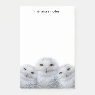 Dreamy Wisdom of Snowy Uggla Family Post-it Block