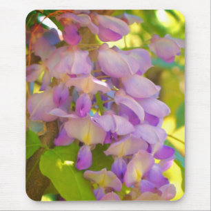 Dreamy Wisteria Flower Musmatta