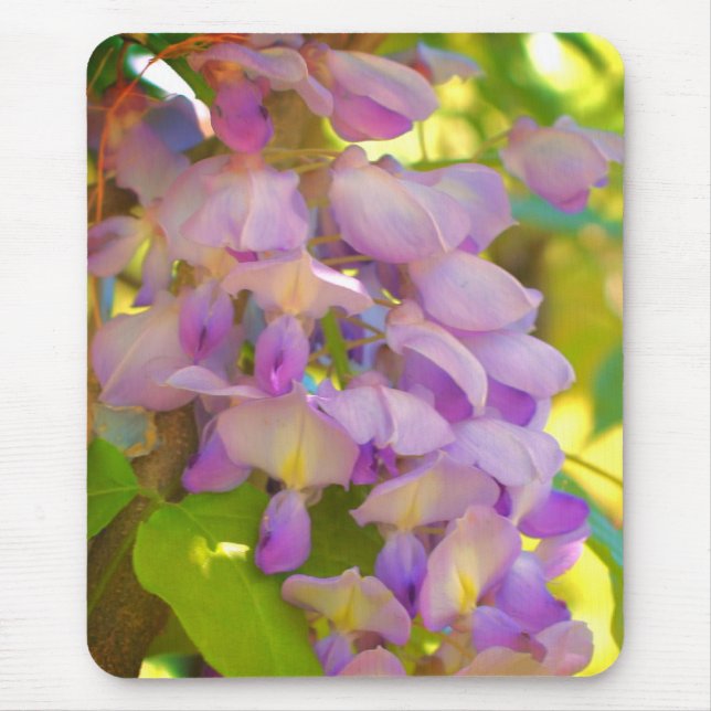 Dreamy Wisteria Flower Musmatta (Framsidan)