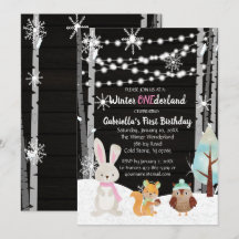 Dreamy Woodland Forest Animals ONEderland Birthday