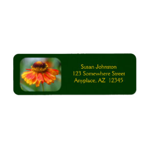 Dreamy Zinnia Flower Address Label Returadress Etikett