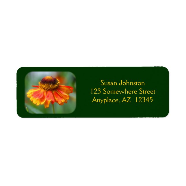 Dreamy Zinnia Flower Address Label Returadress Etikett (Framsidan)