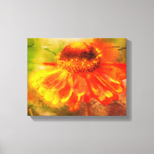 Dreamy Zinnia Flower Distress Canvastryck
