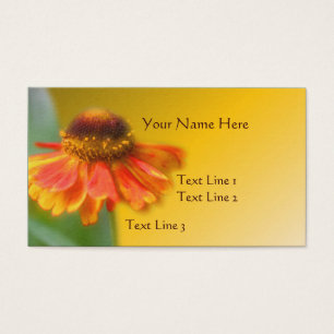 Dreamy Zinnia Flower Nature Visitkort