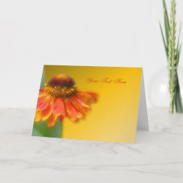 Dreamy Zinnia Flower Photo Card Kort