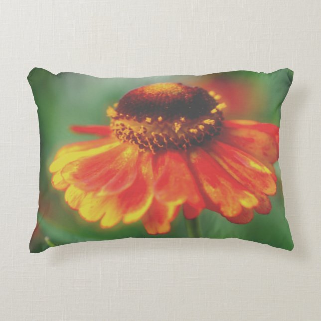 Dreamy Zinnia Flower Prydnadskudde (Framsidan)