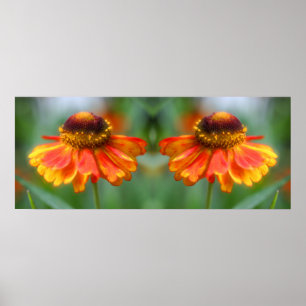 Dreamy Zinnia Flower Spegel Abstrakt Poster