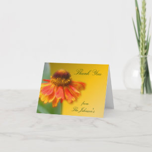 Dreamy Zinnia Flower Tack Kort