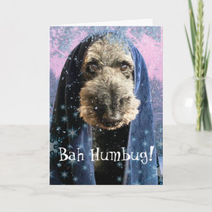 Dreary jul Bah Humbug Schnauzer Kort