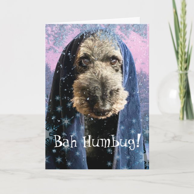 Dreary jul Bah Humbug Schnauzer Kort (Framsida)