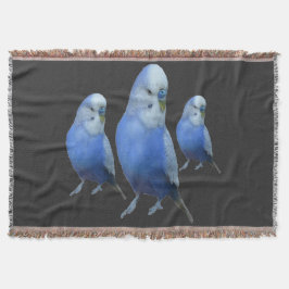 drei blaue Wellensittiche Filt