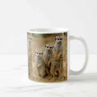 drei Erdmaennchen (Suricata suricatta) Kaffemugg
