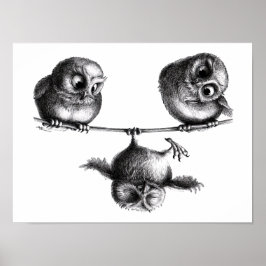 Drei Eulen Freiheit und Spass Poster