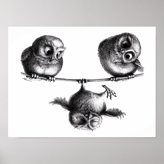 Drei Eulen Freiheit und Spass Poster (Framsidan)