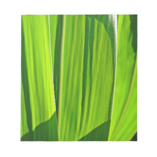 Drei grüne Maisblätter Anteckningsblock