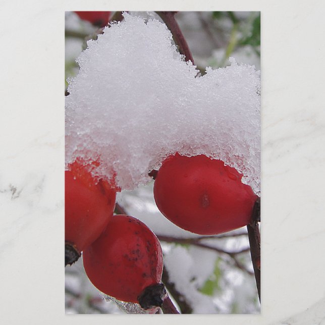 Drei Hagebutten mit Schnee (Framsida)