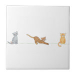 Drei Katzen auf Fliese Kakelplatta<br><div class="desc">drei lustoge Katzen auf einer Fliese</div>