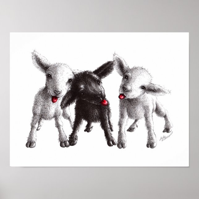Drei lustige freche Schafe Poster (Framsidan)