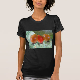 Drei orange Hagebutten T Shirt