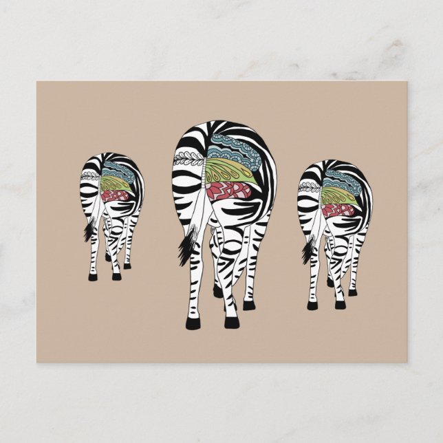 Drei Zebras  Vykort (Framsida)