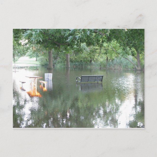 Drenched Bench Photo Vykort (Framsida)