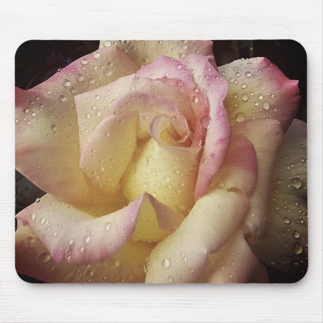 drenched in dew musmatta (Framsidan)