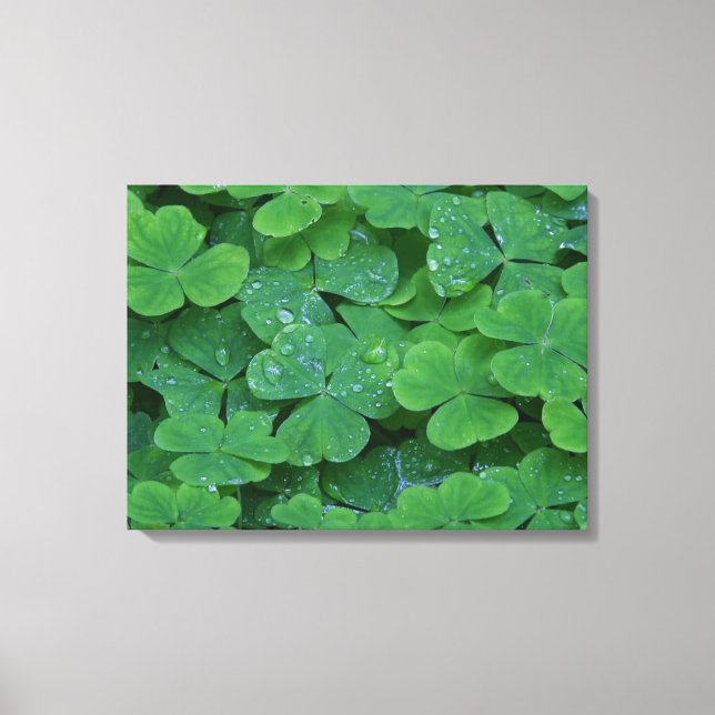 Drenderad Klöver makro Photo Wall Art Canvastryck (Framsida)