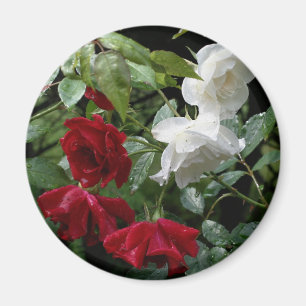 Drened Ro Flower Magnet